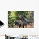 Bull Moose and Cow Wall Decal