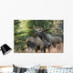 Bull Moose and Cow Wall Decal
