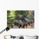 Bull Moose and Cow Wall Decal