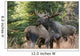 Bull Moose and Cow Wall Decal