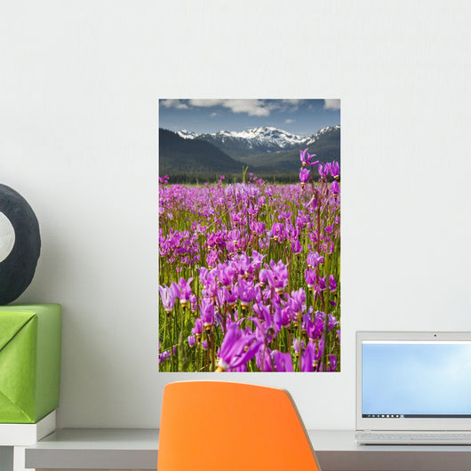 Large Field Shooting Stars Wall Decal