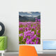 Large Field Shooting Stars Wall Decal