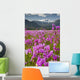 Large Field Shooting Stars Wall Decal