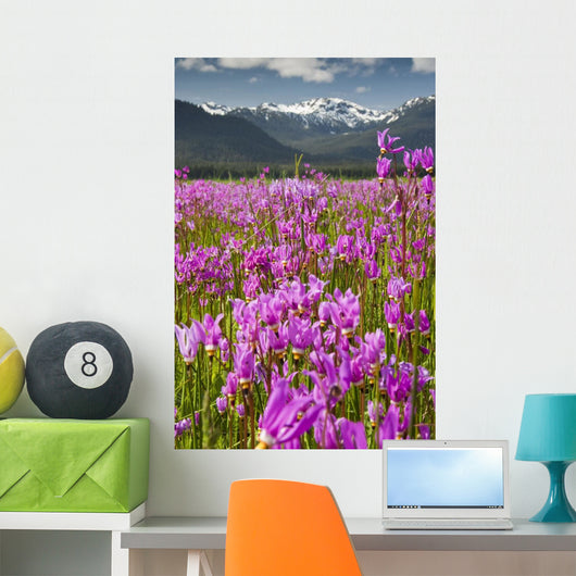 Large Field Shooting Stars Wall Decal