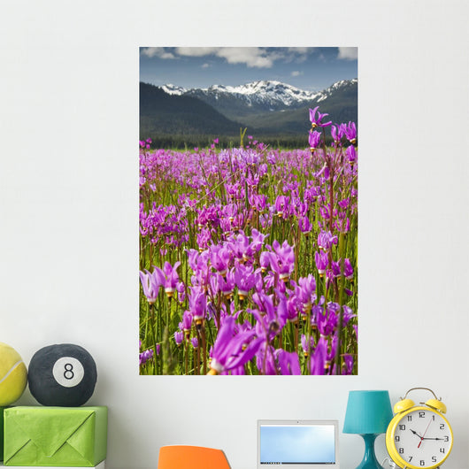 Large Field Shooting Stars Wall Decal
