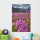 Large Field Shooting Stars Wall Decal