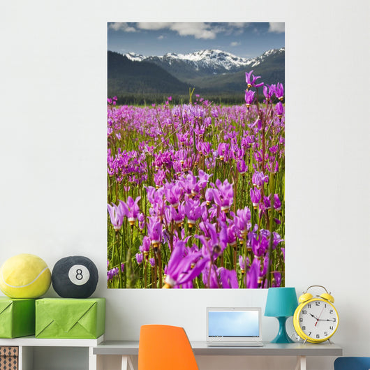 Large Field Shooting Stars Wall Decal