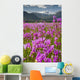 Large Field Shooting Stars Wall Decal
