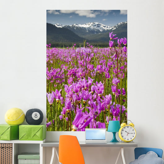 Large Field Shooting Stars Wall Decal