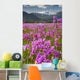 Large Field Shooting Stars Wall Decal