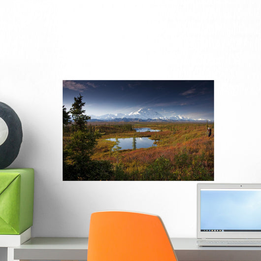 Male Hiker Photographs Mt Wall Decal