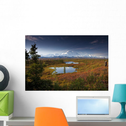Male Hiker Photographs Mt Wall Decal