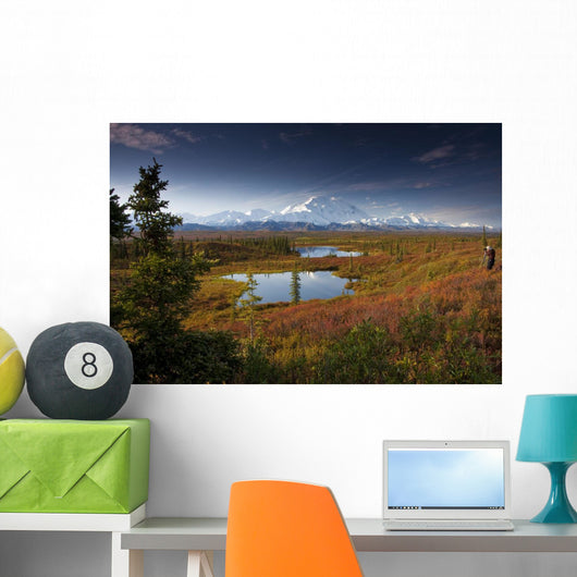 Male Hiker Photographs Mt Wall Decal