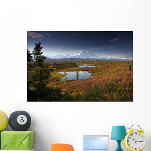 Male Hiker Photographs Mt Wall Decal