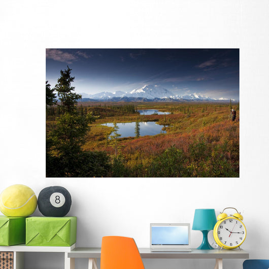 Male Hiker Photographs Mt Wall Decal