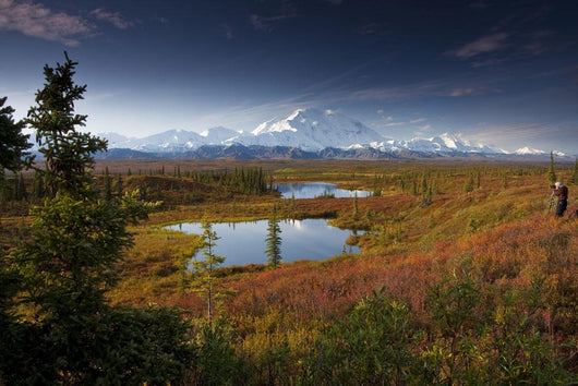 Male Hiker Photographs Mt Wall Decal
