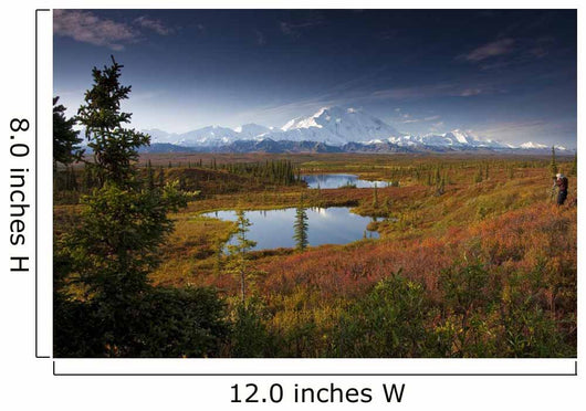 Male Hiker Photographs Mt Wall Decal
