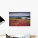 Early Morning Mt McKinley Wall Decal Design 2