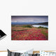 Early Morning Mt McKinley Wall Decal Design 2