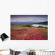 Early Morning Mt McKinley Wall Decal Design 2