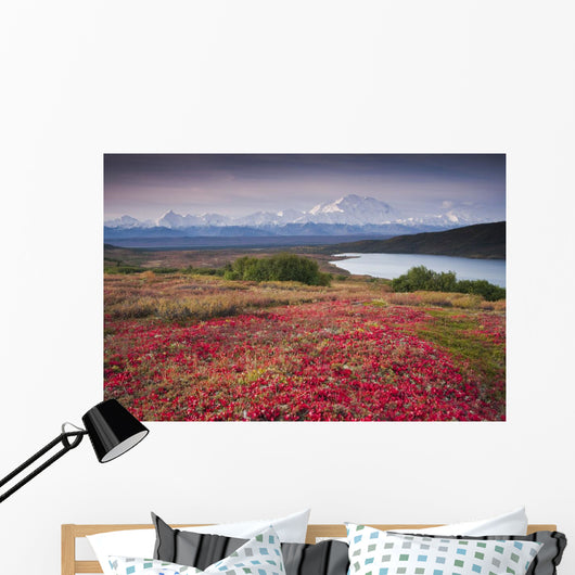 Early Morning Mt McKinley Wall Decal Design 2