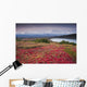 Early Morning Mt McKinley Wall Decal Design 2
