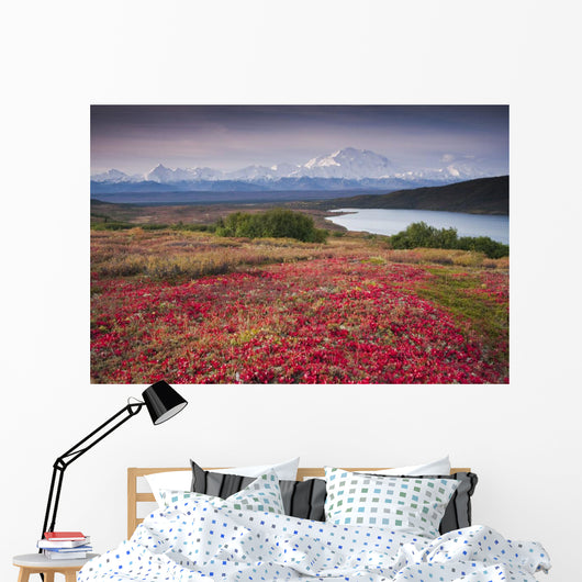 Early Morning Mt McKinley Wall Decal Design 2
