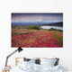 Early Morning Mt McKinley Wall Decal Design 2
