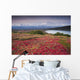 Early Morning Mt McKinley Wall Decal Design 2