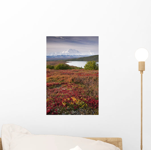 Early Morning Mt McKinley Wall Decal Design 1