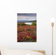 Early Morning Mt McKinley Wall Decal Design 1