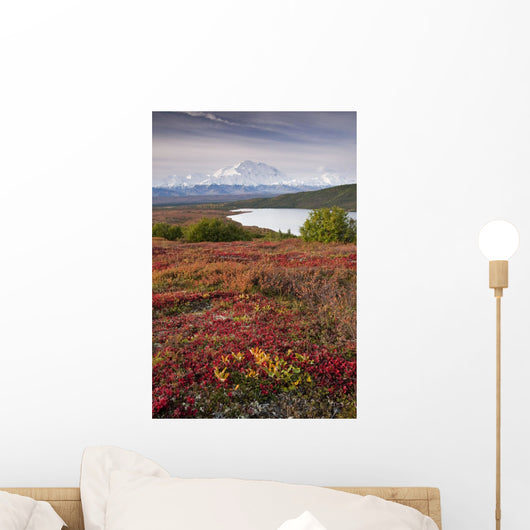 Early Morning Mt McKinley Wall Decal Design 1