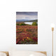 Early Morning Mt McKinley Wall Decal Design 1