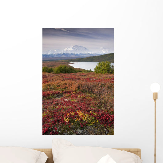 Early Morning Mt McKinley Wall Decal Design 1