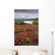 Early Morning Mt McKinley Wall Decal Design 1