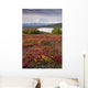 Early Morning Mt McKinley Wall Decal Design 1
