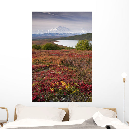 Early Morning Mt McKinley Wall Decal Design 1