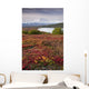 Early Morning Mt McKinley Wall Decal Design 1