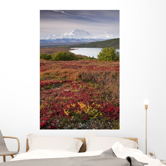 Early Morning Mt McKinley Wall Decal Design 1