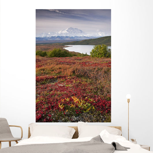 Early Morning Mt McKinley Wall Decal Design 1