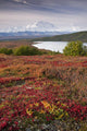 Early Morning Mt McKinley Wall Decal Design 1