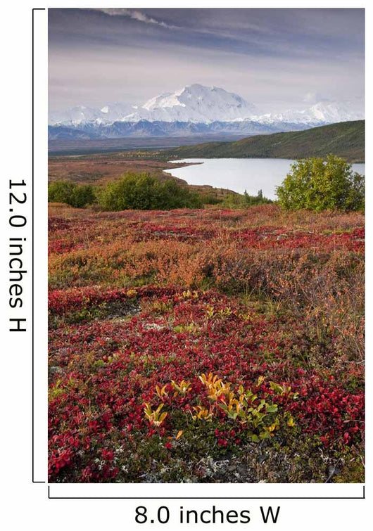 Early Morning Mt McKinley Wall Decal Design 1