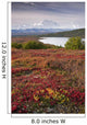 Early Morning Mt McKinley Wall Decal Design 1