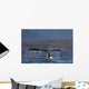 Up Humpback Whale Tail Wall Decal Design 4