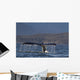 Up Humpback Whale Tail Wall Decal Design 4