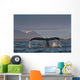 Up Humpback Whale Tail Wall Decal Design 2