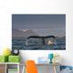 Up Humpback Whale Tail Wall Decal Design 2