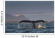Up Humpback Whale Tail Wall Decal Design 2