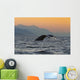 Up Humpback Whale Tail Wall Decal Design 1