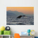 Up Humpback Whale Tail Wall Decal Design 1